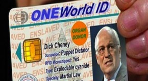 TSA: Microchipped ID For All Domestic U.S. Travel In 2016