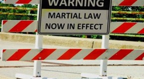 The 17 Elements of Martial Law