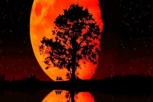 ‘Blood Moons’ discoverer: ‘More judgment coming’