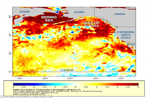 Mysterious Blob In Pacific Ocean Is Fukushima Death And It’s Coming For Us All!
