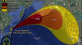 Nuclear Disaster in Fukushima and Death of the Pacific Ocean