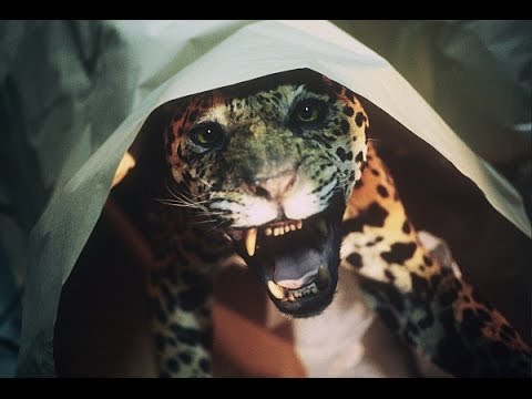 Documentary – animalier complet en français – documentaries 2014