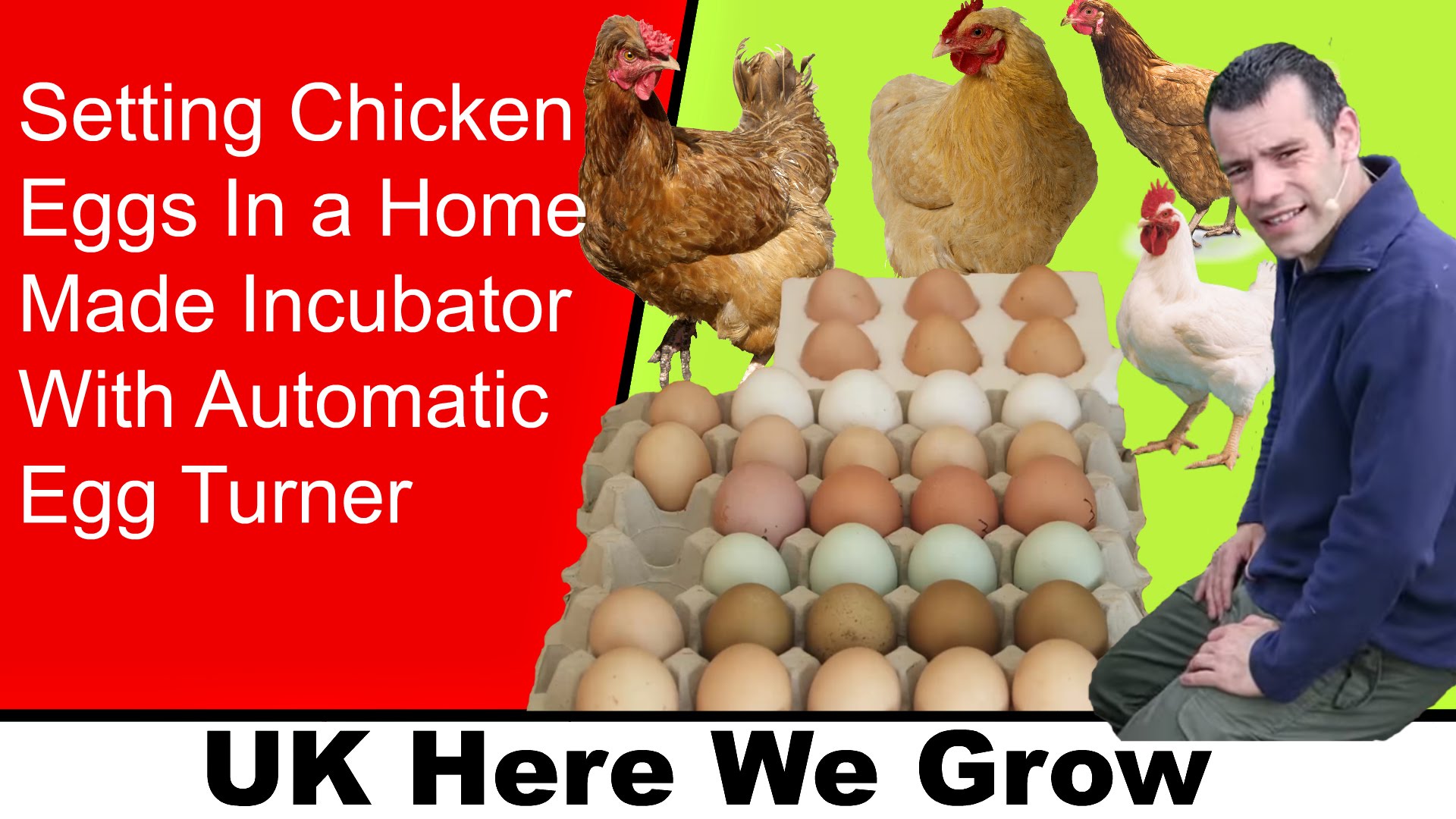 Setting Chicken Eggs In a Home Made Incubator With Automatic Egg Turner
