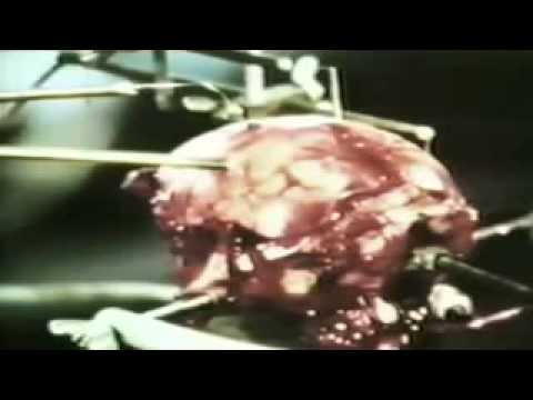 The Transhumanists  documentary by Frank Theys