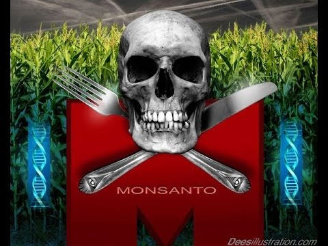Monsanto 7 Evil Facts You’ll Wish You Never Learned – Monsanto GMO  Seeds