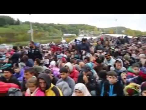 Europe is taken over by Islamic immigrants – See it for yourself !