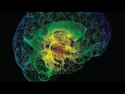 Secrets Of Quantum Physics – Quantum Biology Theory (Documentary)