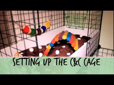 Setting Up A C&C Cage: Ready for new arrivals!