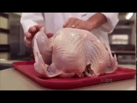 Food and Science :   Documentary on the Science of Eating (Full Documentary)