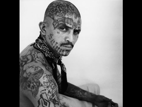 MS13 – Top Documentary Films