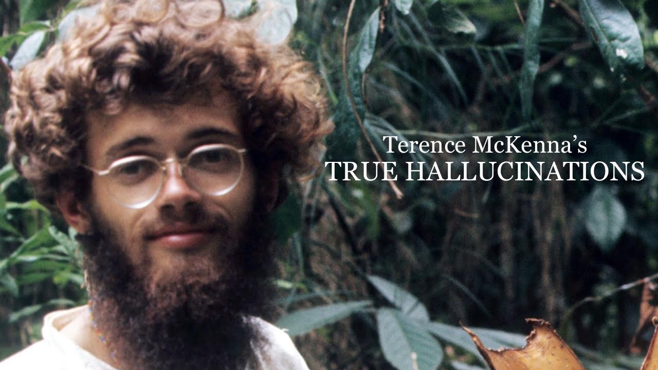 Terence McKenna’s True Hallucinations (Full Movie) HD