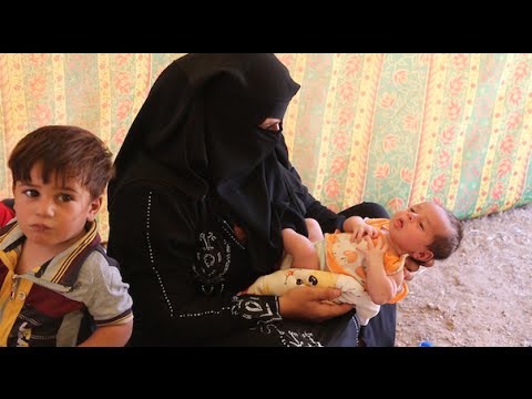 Iraq: Families continue to flee Falluja