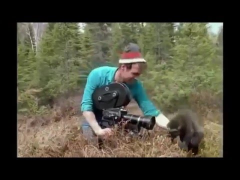 Wolverines : Documentary on Wolverines and Humans Together in Nature (Full Documentary)