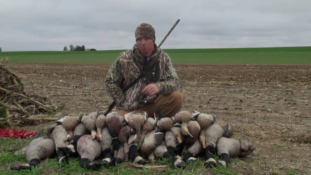 Wisconsin Duck Hunting: Early Arrivals – Hardline Outdoors
