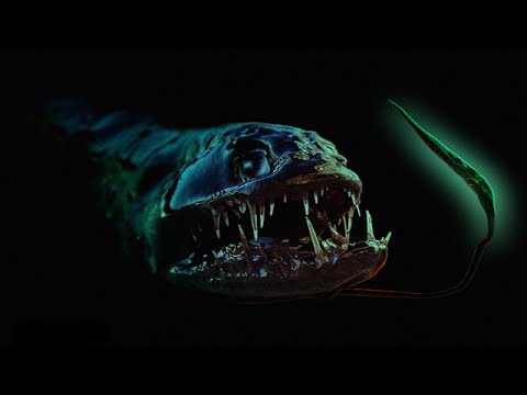 National Geographic Amazing Creatures & Fish of the Deep Ocean Sea Documentary