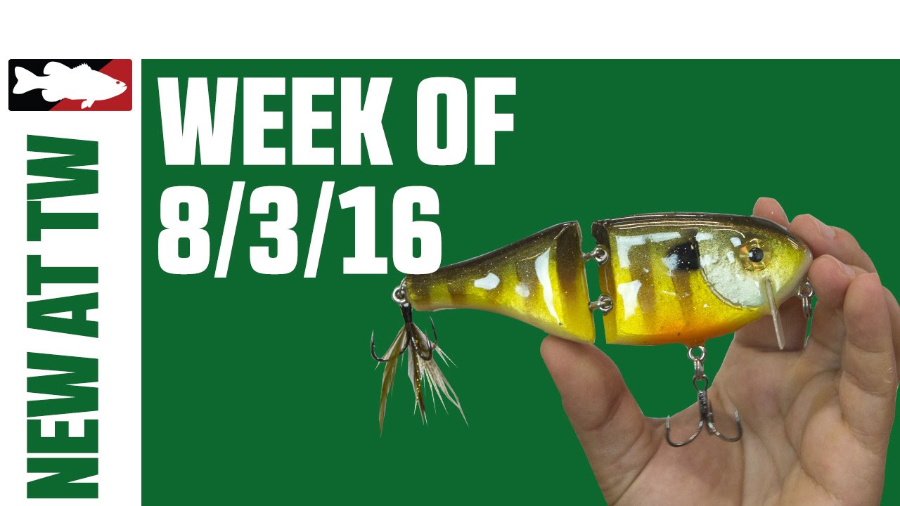 What’s New At Tackle Warehouse w. Jake Cotta  – 8/3/16