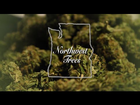 Marijuana Documentary – Northwest Trees (2016)