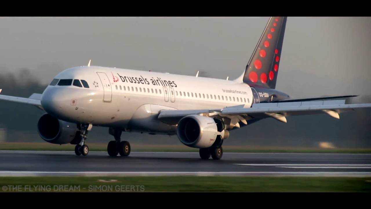 Brussels Airport ~ Foggy Morning Arrivals | PLANESPOTTING