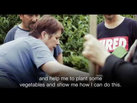 Refugees plant roots in Austria’s gardens