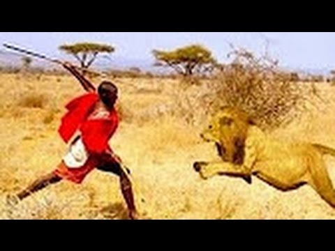 Lions vs Maasai Warriors ~ Incredible Fight [National Geographic WILD Documentary]