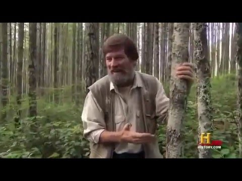 Bigfoot Worldwide : Documentary on Increasing Bigfoot Sightings (Full Documentary)
