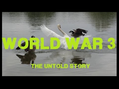 World War 3: Canada Geese Air Raid