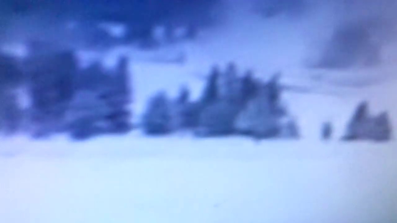 6 bigfoot caught on live cam at Yellowstone on Christmas 2016