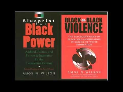 Amos N. Wilson | Africans in the New World Order
