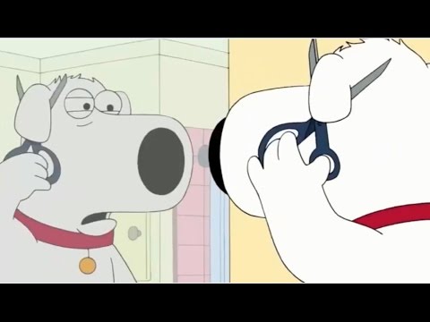 Family Guy – Brian Cuts His Ear Off to Prevent World War II