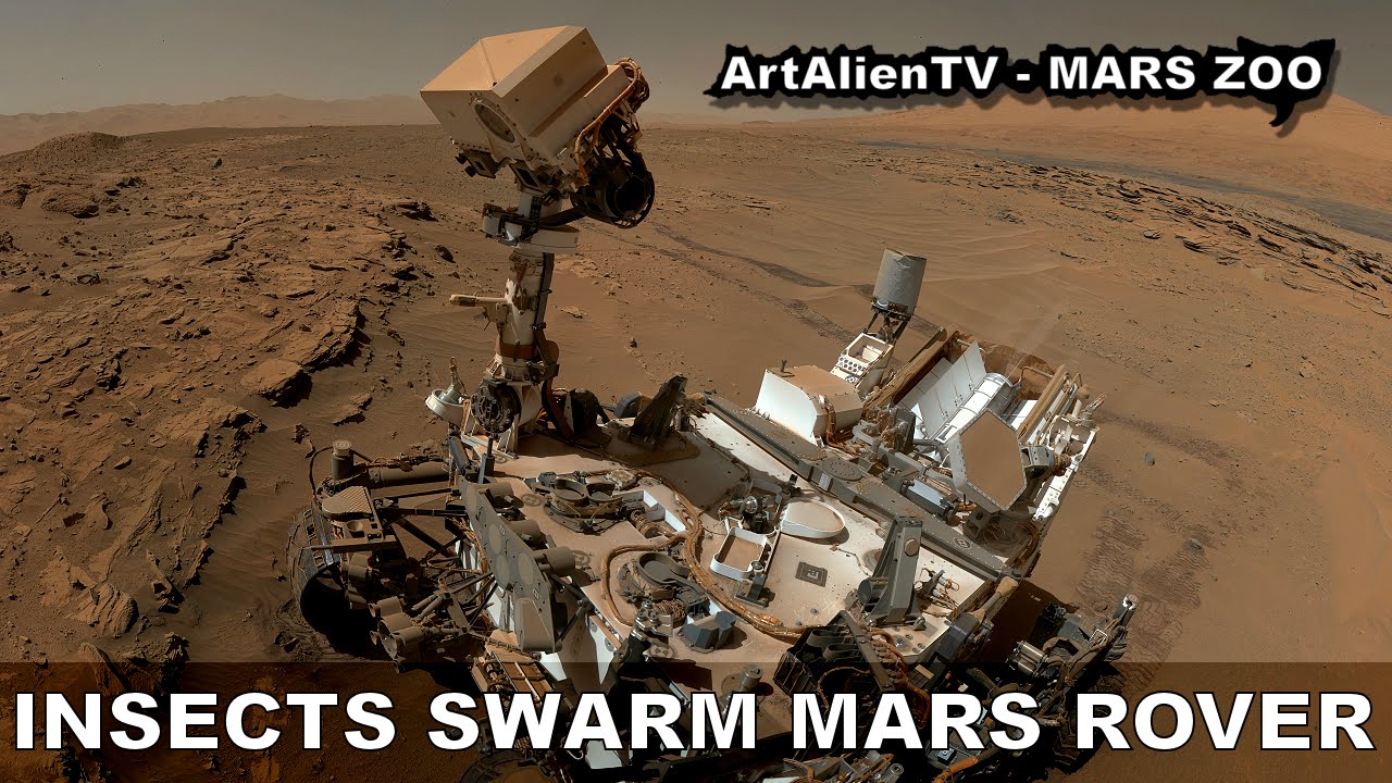 MARS INSECTS SWARM CURIOSITY ROVER SELFIE: UFO’s, Birds or Flies? ArtAlienTV 1080p