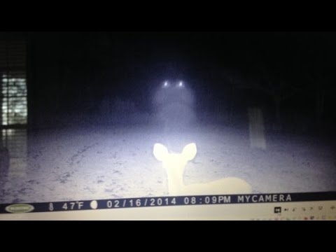 UFO Captured Multiple Times On Deer Cam in Mississippi -WLOX
