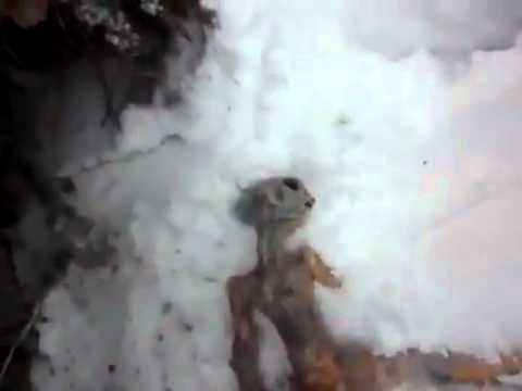 UFO Video of dead alien found in snow in Russia – UFO crash?